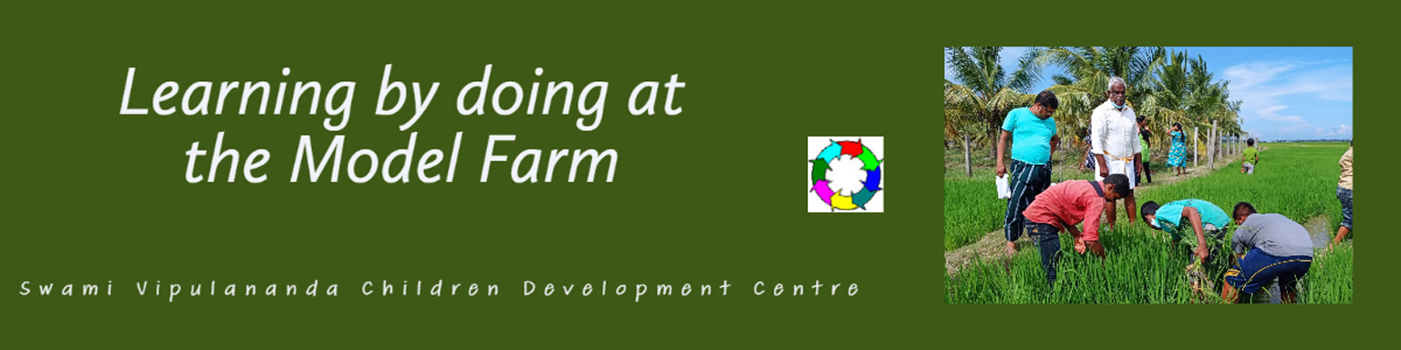 2022 OF Web Banner SVCDC